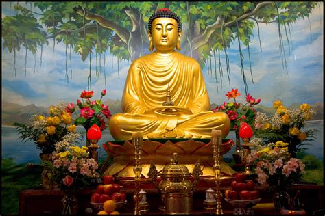 Siddhartha Gautama Buddha | "You can search throughout the e… | Flickr