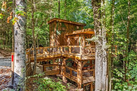 Experience Glamping at Amazonia Treehouse | Red River Gorge, KY | Hammock Floor, Outdoor Shower ...