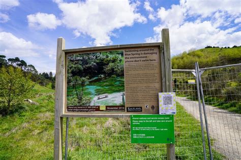 Putaruru Blue Springs: Te Waihou Walkway - Waikato's best kept secret.