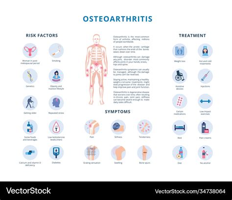 Osteoarthritis risk factors and treatment flat Vector Image