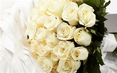 White Rose Bouquet Wallpapers - 3D HD Wallpapers