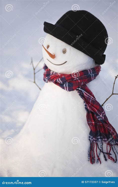 Snowman in winter sun stock image. Image of frost, frosty - 57172337