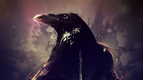 Crow 4K Wallpapers - Top Free Crow 4K Backgrounds - WallpaperAccess