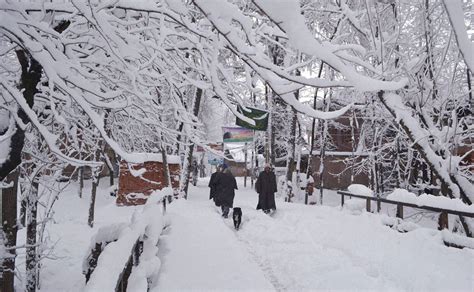 Photos: Fresh snowfall in Kashmir Valley; temperature drops further ...