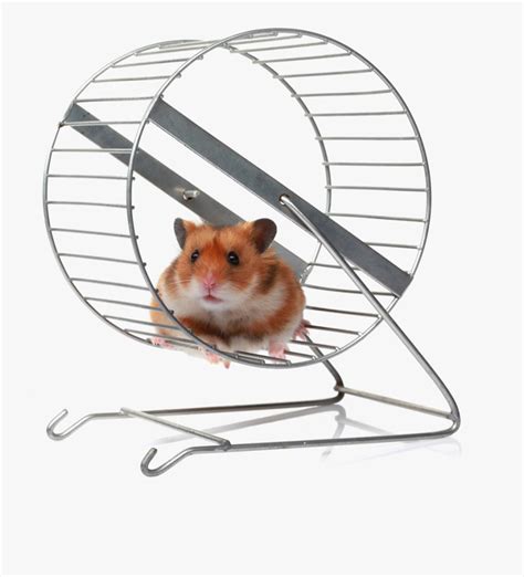 Hamster Wheel Png - Hamster In A Wheel Meme , Free Transparent Clipart ...