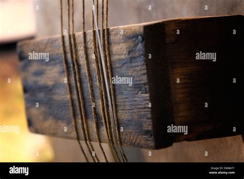 Strings of the begena (or beguena, as in French) an Eritrean and ...