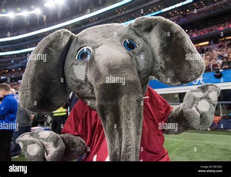 Alabama crimson tide mascot hi-res stock photography and images - Alamy