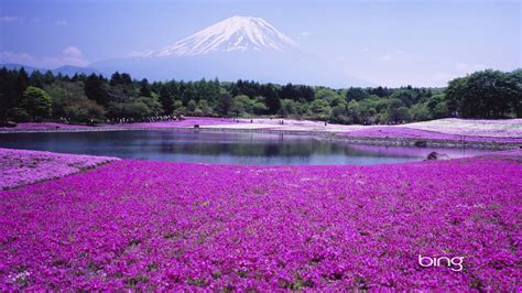 Free download Landscapes volcanoes bing wallpaper 1920x1200 19298 ...