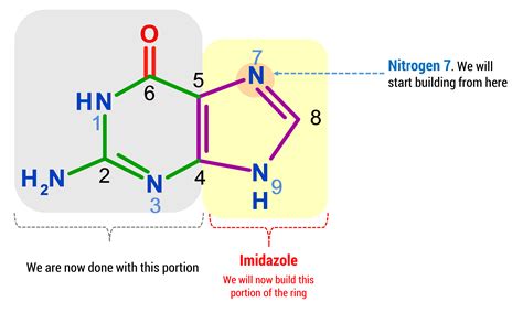 Guanine Molecule – Duluth Labs