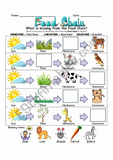 Food Chain Worksheet Pdf Unique Food Chains Biology Worksheet Printable ...