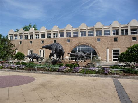 Fernbank Museum of Natural History | Atlanta Places To Visit