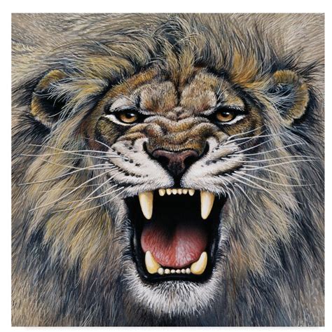 Trademark Art « lion rugissant », reproduction de peinture à l’acrylique sur toile tendue et ...