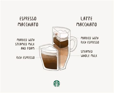 Espresso Macchiato vs. Latte Macchiato | Latte macchiato, Macchiato, Starbucks recipes