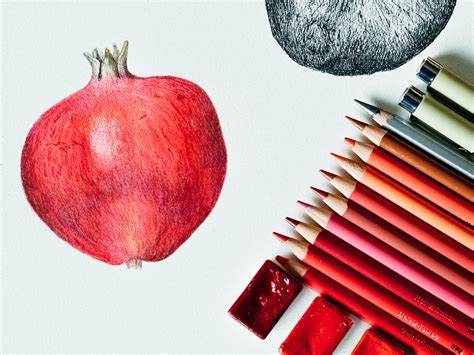 How to Use Watercolour Pencils: Tips for Beginners