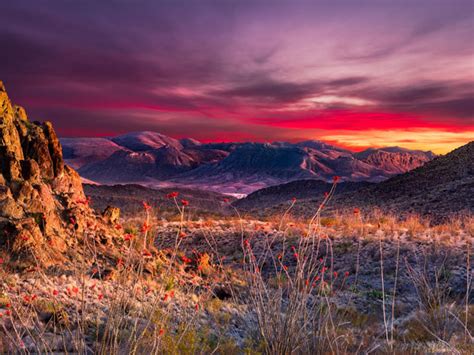 Big Bend Resort & Adventures in Terlingua | Tour Texas