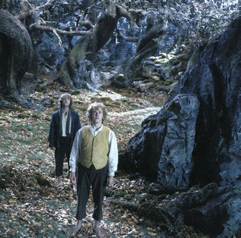 Merry and Pippin - Lord of the Rings Photo (3368735) - Fanpop