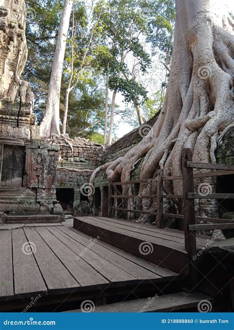 The Jungle Temple in Angkor Wat Cambodia. Stock Photo - Image of flower ...