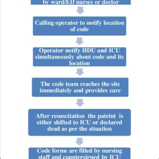 (PDF) Review of code blue system and audit