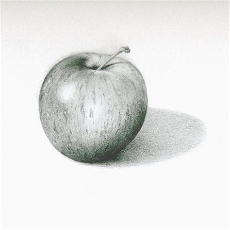 Apple Pencil Рисуем – Telegraph