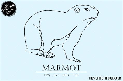 Marmot Vector Graphic by thesilhouettequeenshop · Creative Fabrica