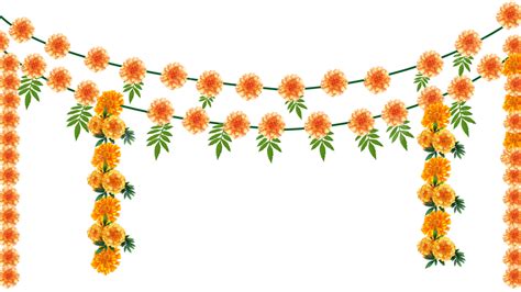 Marigold Wreath Horizontal View Plant, Marigold, Chrysanthemum, Wreath ...