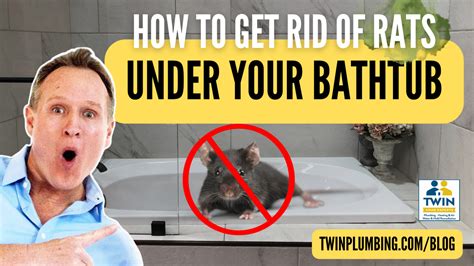 How to Get Rid of Rats Under Your Bathtub | Rat Control