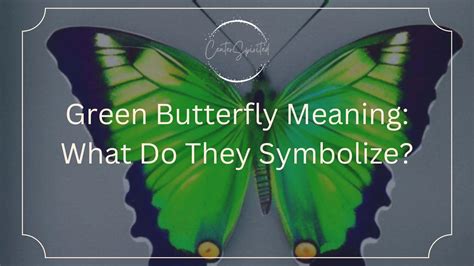 Green Butterfly Meaning: What Do They Symbolize?