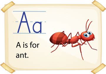 Ant Flashcard Vector Images (77)