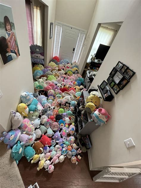 Seriously need ideas how to organize this!!! : r/squishmallow