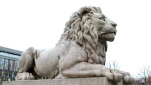 Lion Pride Hierarchy Gone Wrong - Lion King Summary Essay