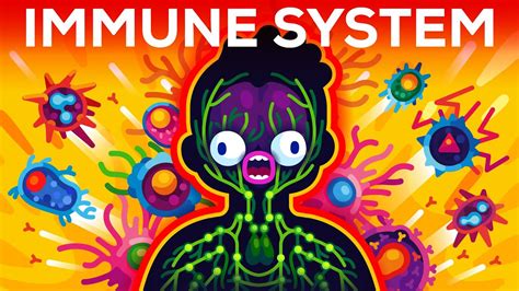 How the Immune System (Really) Works