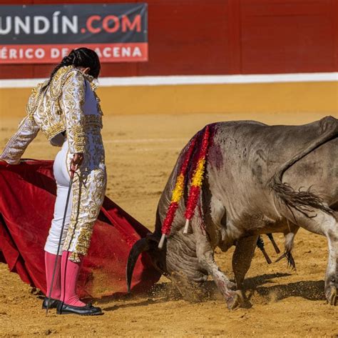 Ole! Meet the 20-year-old female matador forging her way in a macho world as Spain turns it back ...