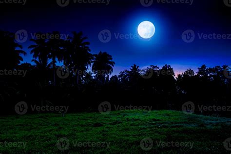 Tropical full moon night landscape with grass field 19154301 Stock ...