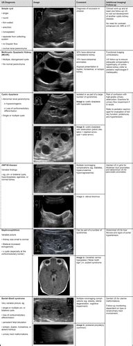 Kidney Cyst Size Chart