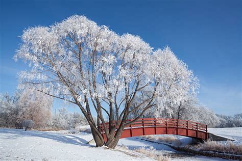 3,700+ Manitoba Winter Stock Photos, Pictures & Royalty-Free Images ...