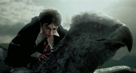 Harry Potter and Buckbeak | Prisoner of azkaban, Harry potter, The prisoner of azkaban