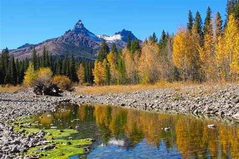 Yellowstone Fall Colors Base Camp - A Yellowstone Life