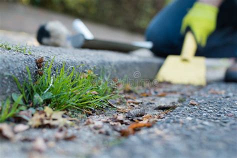 Man is cleaning the gutter stock image. Image of leaf - 130744449