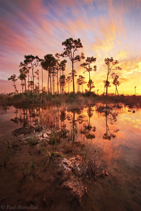 Wet Season : Everglades National Park, Florida : Florida Landscape Photography by Paul Marcellini