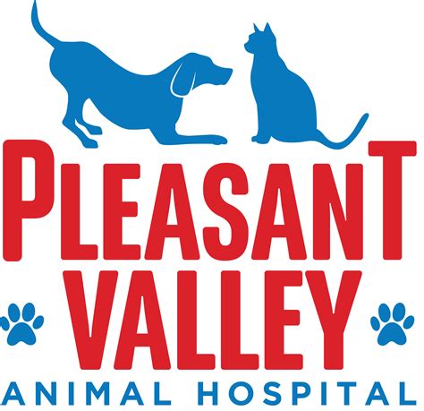 Pet Care Hospital Near Me - Best Animal Hospitals Near Me June 2021 ...