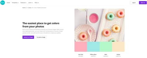 How to Use Canva Color Palette Generator Up Your Design