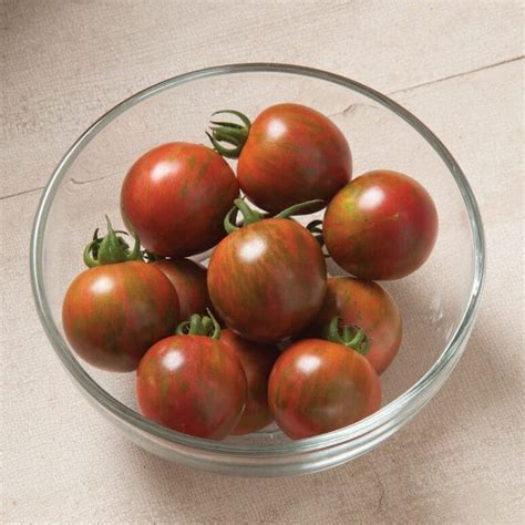 27 Purple Tomato Varieties (Taste, Differences, & How to Grow)