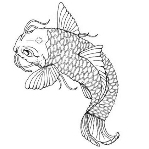 Koi Fish Tattoo Design Outline