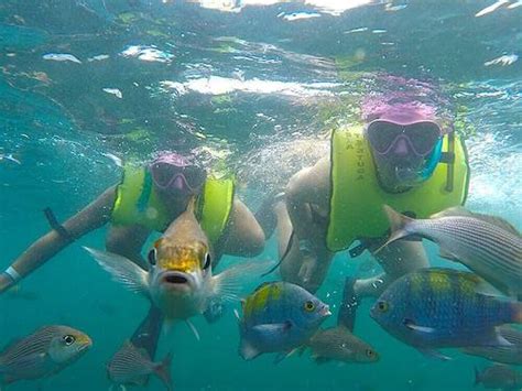 Snorkeling Cahuita National Park Tour - Eco Tours Costa Rica