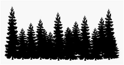 Tree Line Png - Black Pine Tree Silhouette, Transparent Png ...