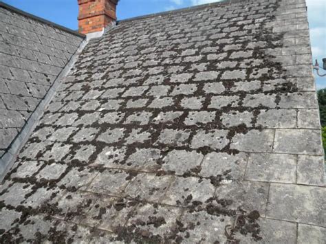 Coating asbestos cement shingles | DIYnot Forums