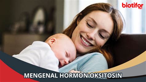 Mengenal Hormon Oksitosin | Hormon Kecintaan dan Koneksi - Biotifor