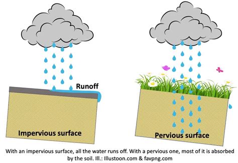 Infiltration Soil