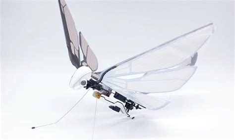 Biomimetic robotic insect lets you experience flight like never before