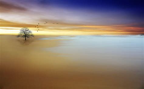 Tranquility Wallpapers - Top Free Tranquility Backgrounds - WallpaperAccess